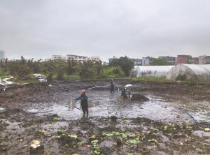 南皮河道鱼塘清淤
